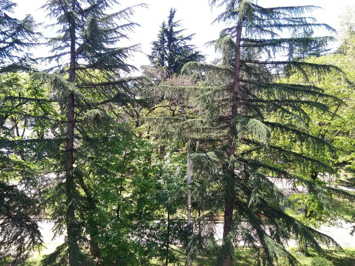 Комплекс 35 Paliashvili Кутаиси Экстерьер фото